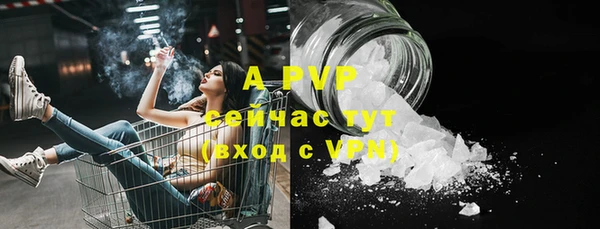 стафф Вяземский