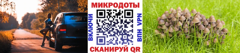 Псилоцибиновые грибы Psilocybe  Купить где  Шимановск 